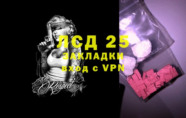 спайс Аркадак