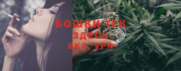 стафф Арсеньев