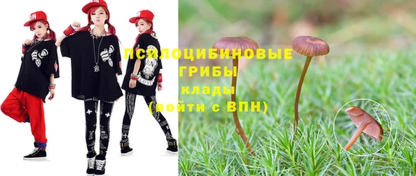 стафф Арсеньев