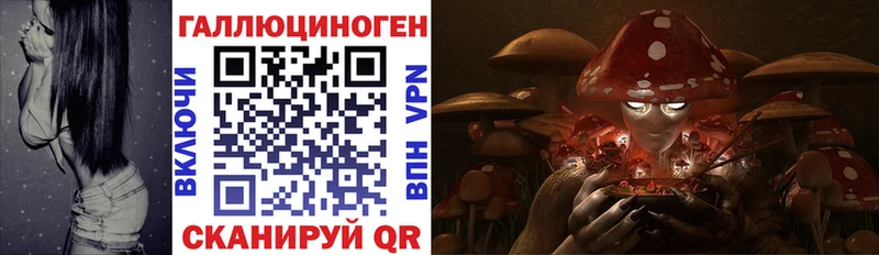 где продают   Электрогорск  darknet клад  Псилоцибиновые грибы мухоморы 