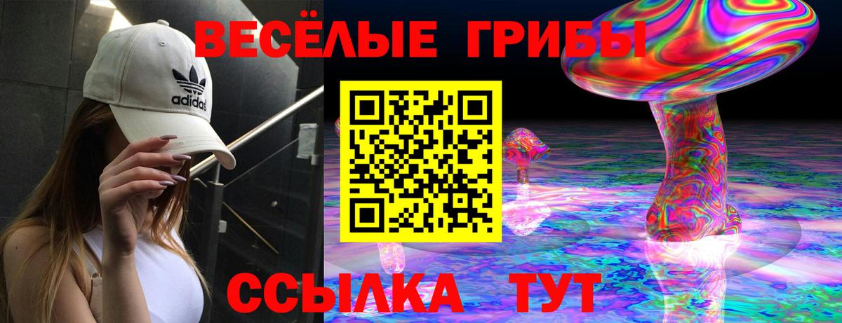 Галлюциногенные грибы Psilocybe  Псилоцибиновые грибы Cubensis  Электрогорск  Вход с VPN 