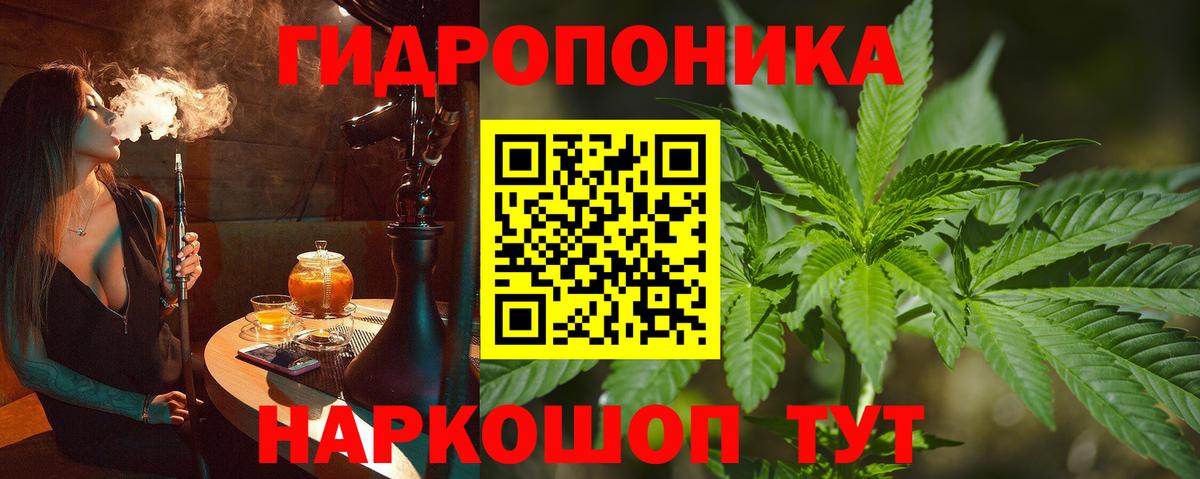 МАРИХУАНА White Widow Электрогорск